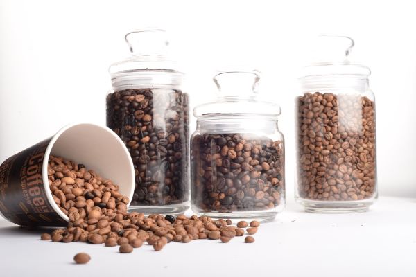 Focus how to choose the right coffee beans