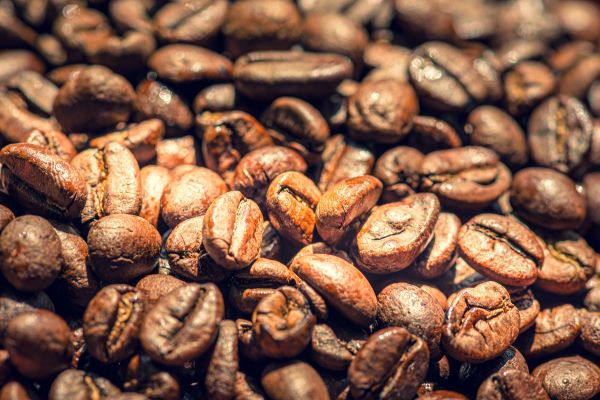 Focus types of coffee roasts