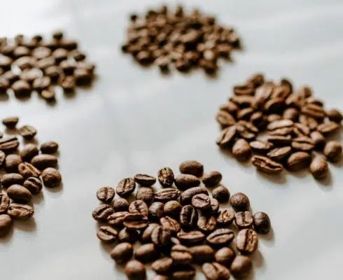 Focus 4 types of coffee beans