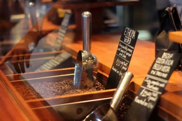 Focus how to choose the right coffee beans