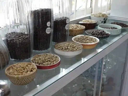 Focus 4 types of coffee beans