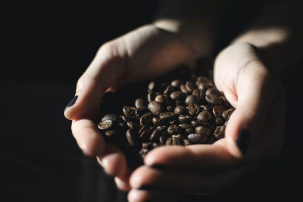 Focus what is a coffee bean is it considered a seed