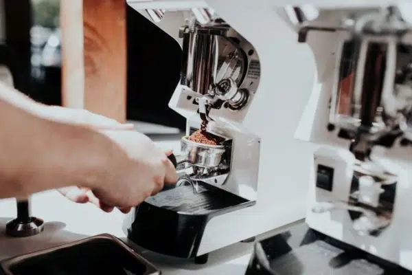Focus how is coffee made from seed to cup
