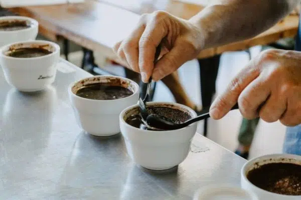 Focus how is coffee made from seed to cup