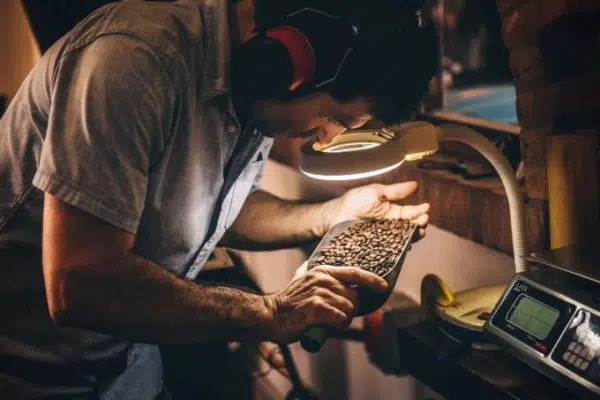 Focus how is coffee made from seed to cup