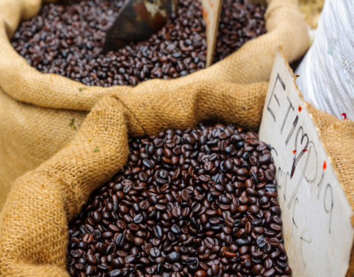 Focus Ethiopian coffee culture and varieties