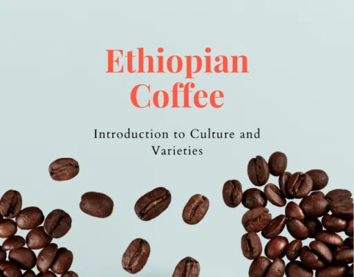 Focus Ethiopian coffee culture and varieties