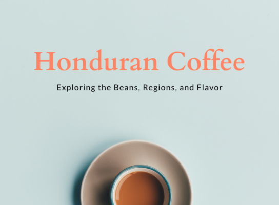 Focus Honduran coffee beans flavor region