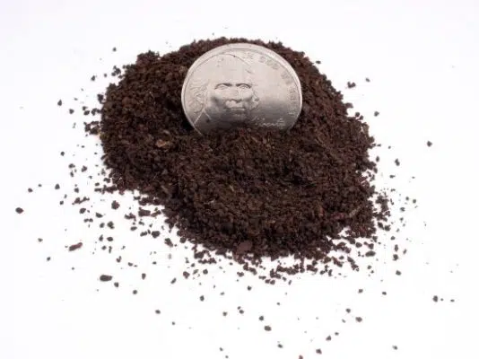 Focus how to properly grind your coffee beans