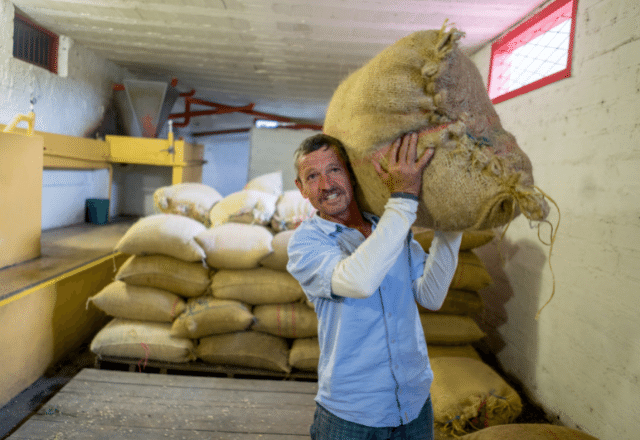 Focus top 10 coffee producing countries in the world