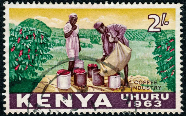 Focus Kenyan coffee learn rich history distinct variety