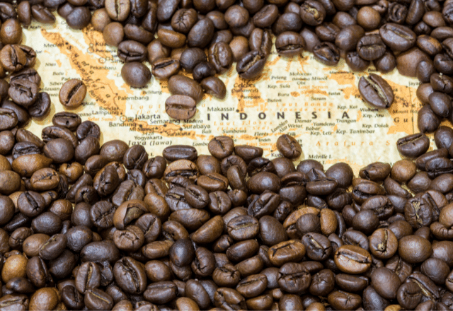 Focus top 10 coffee producing countries in the world