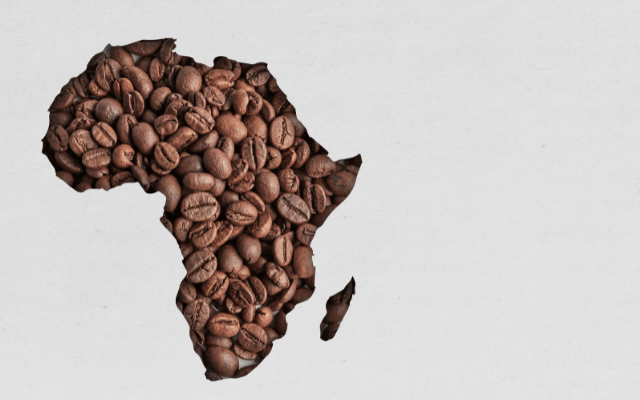 Focus Kenyan coffee learn rich history distinct variety