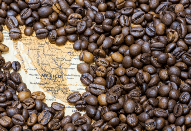 Focus top 10 coffee producing countries in the world