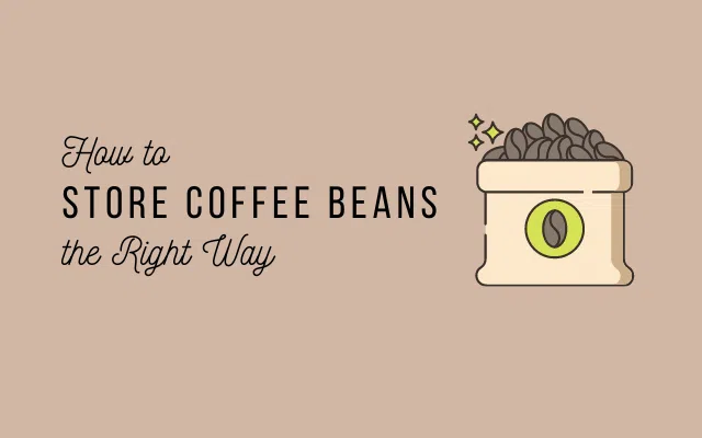 Focus how to store coffee beans