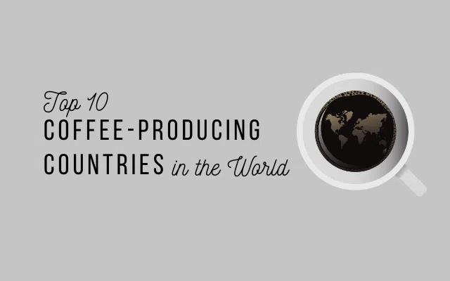 Focus top 10 coffee producing countries in the world