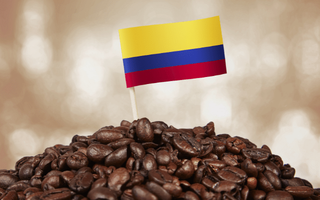 Focus colombian coffee guide to the best quality and taste