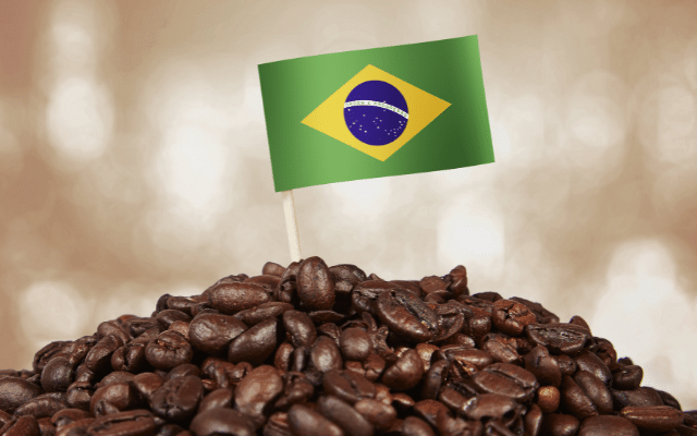 Focus Brazilian coffee what makes it the World’s Leading Exporter